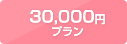 30,000円プラン